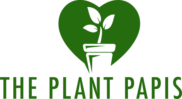 The Plant Papis