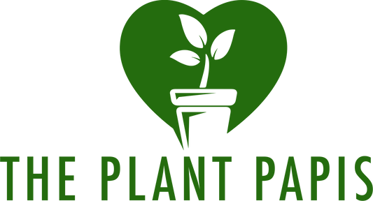 Give the Gift of Choice: The Plant Papis Gift Card
